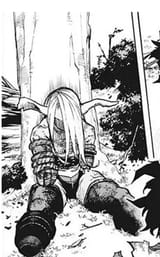 stump
