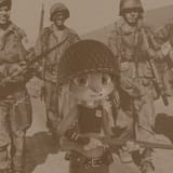 WorldWarZoo