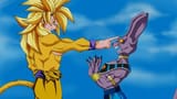 True SSGOD Goku vs Beerus