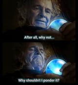 after all why not why shouldn&#039;t i ponder it