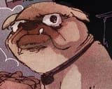 disgusted pug