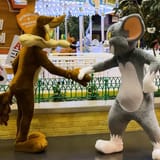 Wile and Tom&#039;