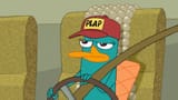 Perry_the_Plappipus_Eyelashes