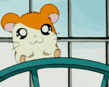 hamtaro-hamster