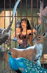 1633094814_858_Cinque-cose-che-probabilmente-non-sapevi-su-Wonder-Woman