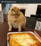 Garfielf