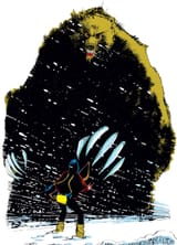demon_bear_image