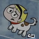Can we play now big brother ed