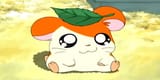 hamham