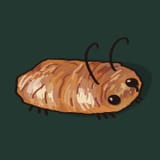 chocolate croissant