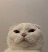 1587975646155