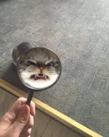 1527652681853
