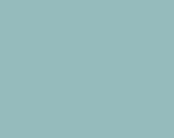 horse color