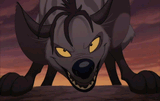 shenzi