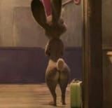 judy bum