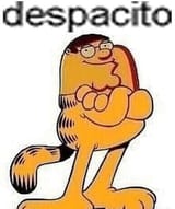 1551184944234