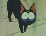 Luna scared