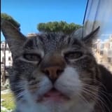 1669766064837431