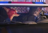 how-in-the-world-is-judy-able-to-drive-the-patrol-car-v0-w2rk6jijkk5f1