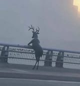 1641714001775
