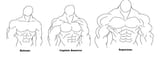BodyBuilds