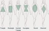 body types
