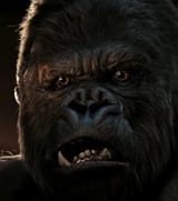 No
