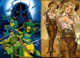 turtles in the wild west
