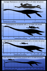 Plesiosauria