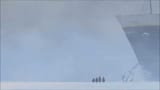 Penguins in Antarctica