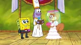 sandy-cheeks-spongebob-wedding-4vti5ymzj516z8ly-671597318