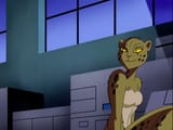 DCAU_Cheetah
