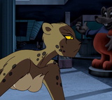 DCAU_Cheetah_001