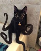 NIGGERMNA