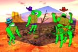 Turtles in the Wild West