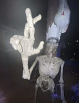 20241013_145110