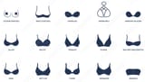 bra types1
