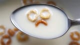 Cereal Lord Is Bad For Your Health