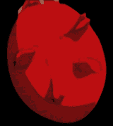 1745719523082952