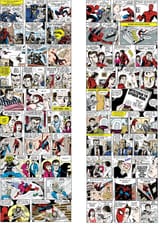 Spider-Man (3)