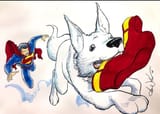Blame Krypto