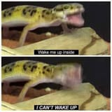 WAKE ME UP
