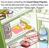 Good Sleep Popuko Certified