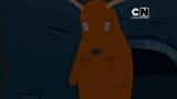 stupidfuckingstag