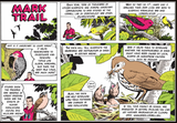 2003-06-29 MarkTrail