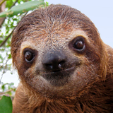 mfw debauchery