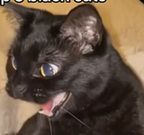 WTF!
