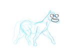 horse+anim