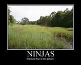 ninjas