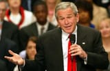 bushshrug